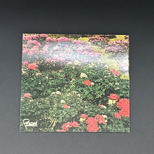 Load image into Gallery viewer, FD-013 DIRTY ART CLUB - GARDENS (2020) CD