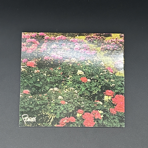 FD-013 DIRTY ART CLUB - GARDENS (2020) CD