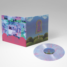 Load image into Gallery viewer, DIRTY ART CLUB - THE SILVER SUITE 12" + B SIDES 12" = GARDENS, BASEMENT SEANCE, HEAVY STARCH CDS FREE