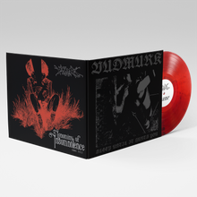 Load image into Gallery viewer, FD-021 VUDMURK - SLEEP UNTIL IT HURTS YOU/IGNOMY OF INSOMNOLENCE (RED SMOKE HEAVYWEIGHT VINYL)